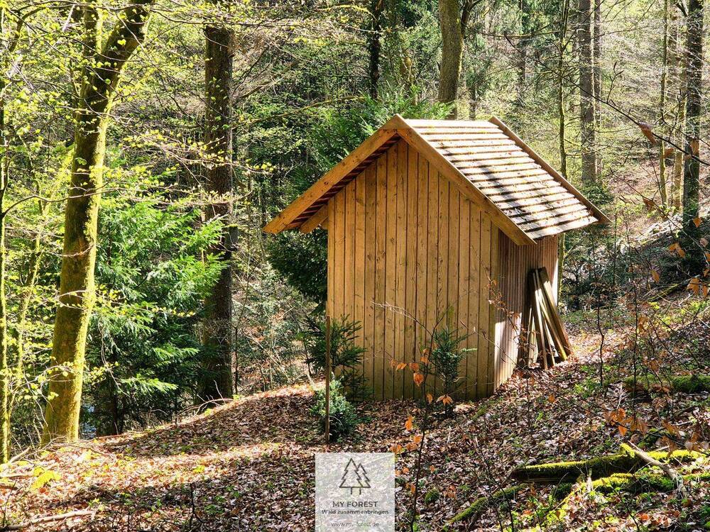 Thumbnail-Rückzugsort & Familienidyll: Wald mit eigenem See, Hütte und Bächchen im Mainhardter Wald