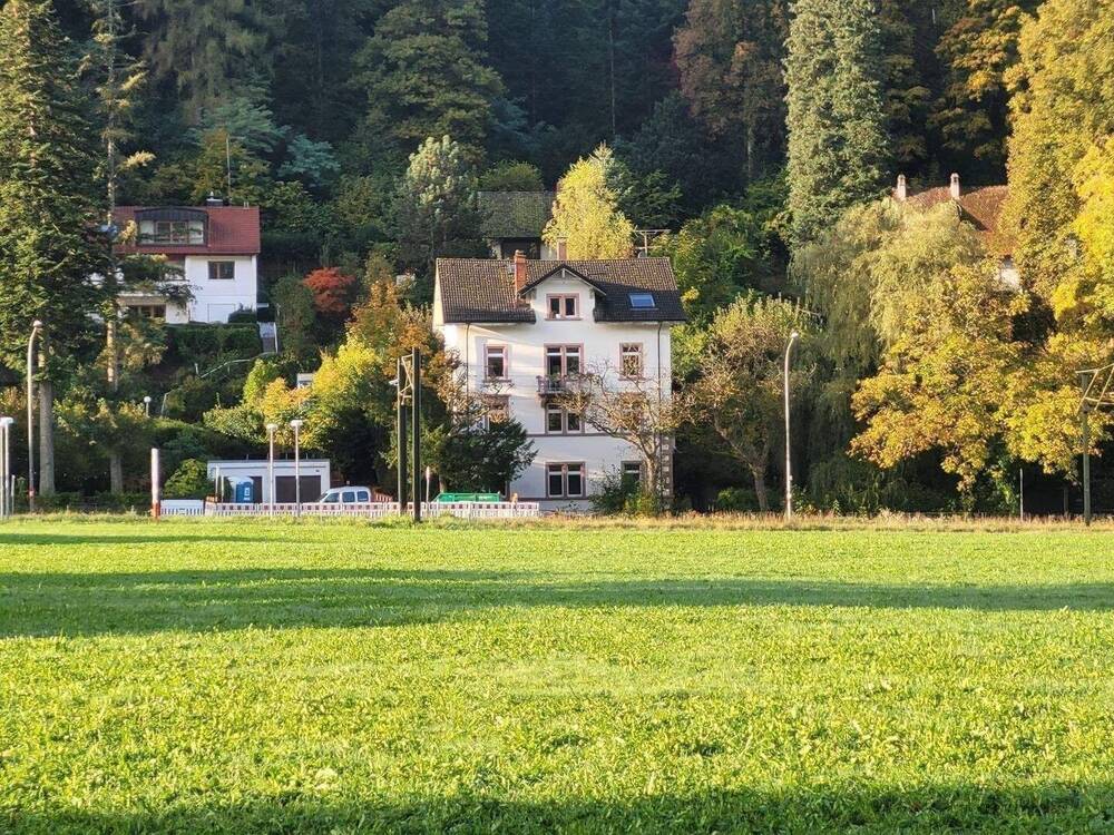 Thumbnail-Gründerzeit 4-FamHs + Fabrik-Loft im EG + 405qm WNF + 528qm GS + Gartenhs + Paradiesgarten + teilbar in Teileigentum