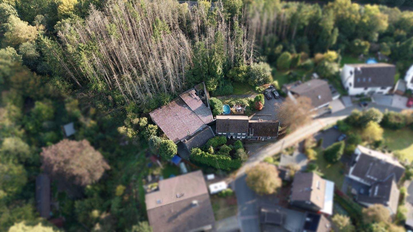 Thumbnail-Baugrundstück mit positiver Bauvoranfrage für 4 Doppelhaushälften und großem Waldgrundstück