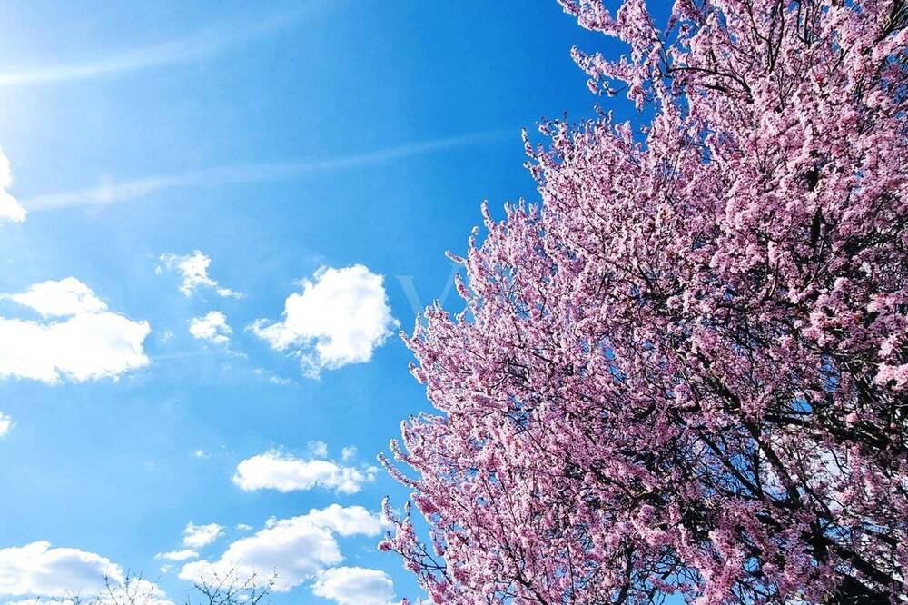 Thumbnail-Ruhig und nur 600m zur S-Bahn Karow - bauträgerfreies Grundstück für Ihre Doppelhaushälfte!