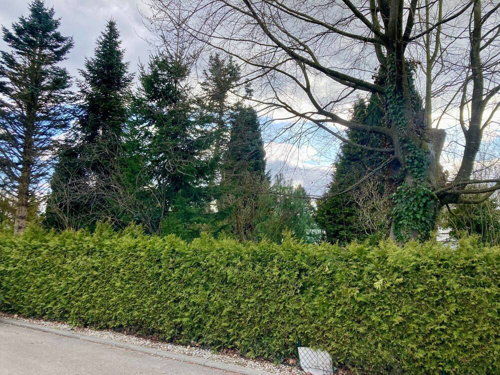 Thumbnail-DAS IST PREMIUM!