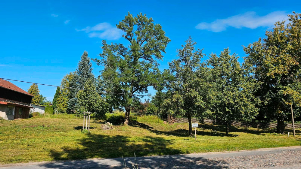 Thumbnail-Idyllisches Baugrundstück im Herzen der Märkischen Schweiz - Wohnen, wo andere Urlaub machen!