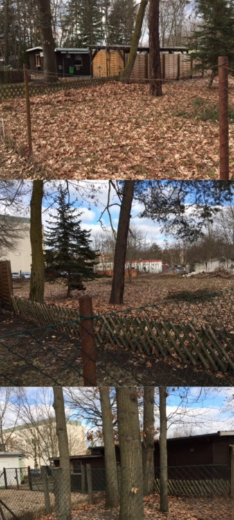 Thumbnail-Wohn- und Geschäftsgrundstück in Kolkwitz - Großzügige 2.000 m² am Klinikum zu verkaufen