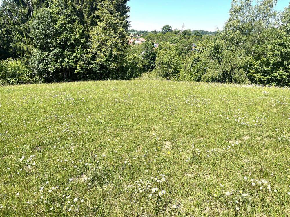 Thumbnail-1.750 m² Wohnbaufläche inmitten von 14.646 m² Wiesengrund