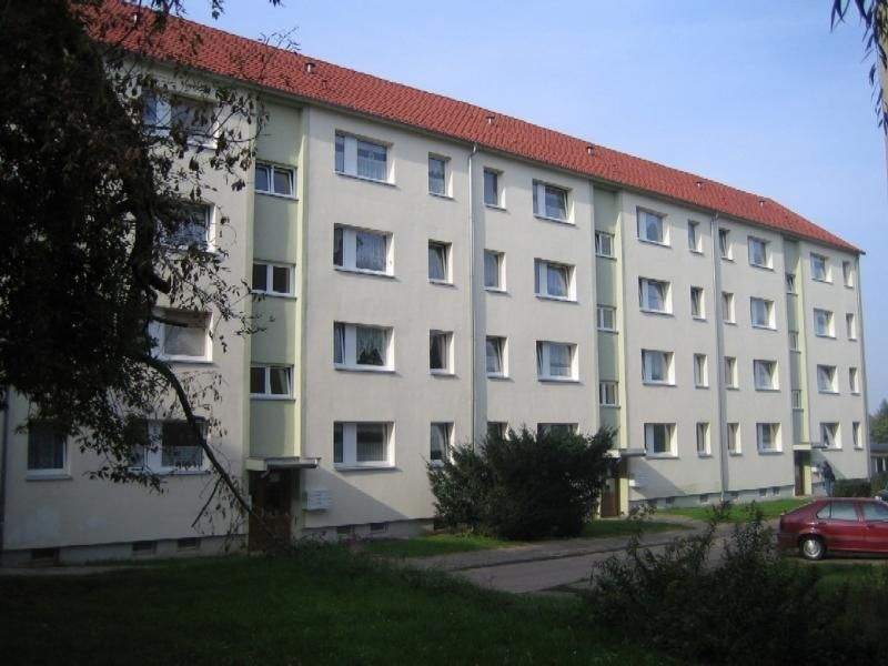 206133458_800x600.jpg
