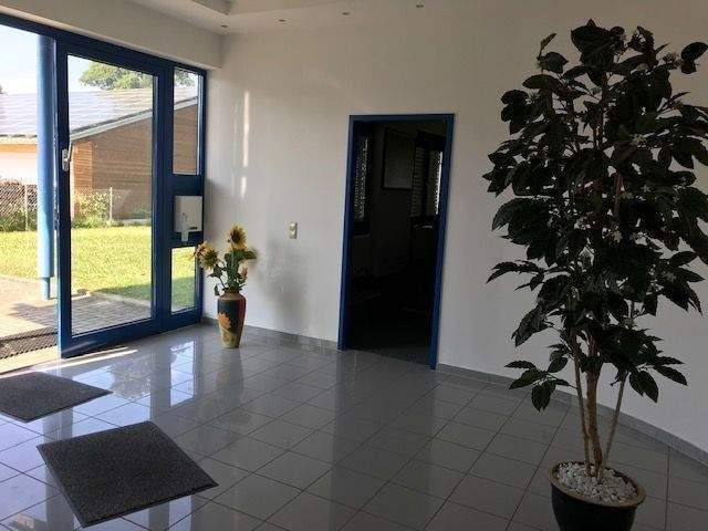 Thumbnail-Gewerbehalle mit Büro und Sozialbereich im Industriegebiet in Endingen