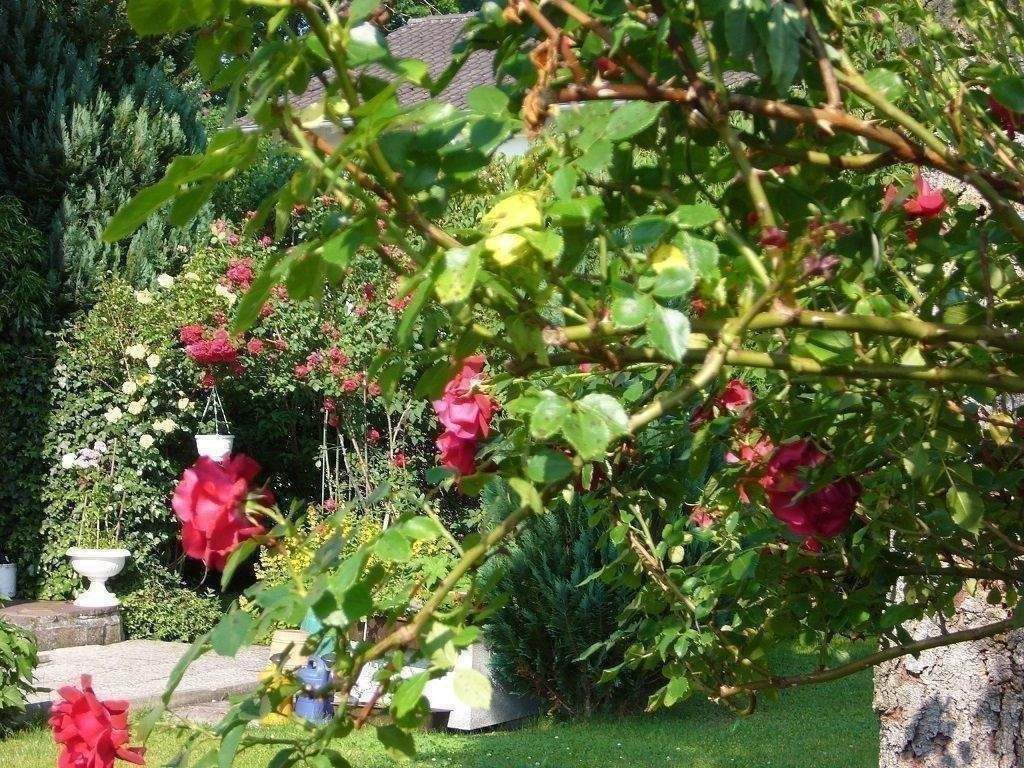 Thumbnail-Renovierungsbedürftige Zweifamilienhaus 172 m² Wohnfläche mit ca. 606 m² Grundstück in Bruckmühl