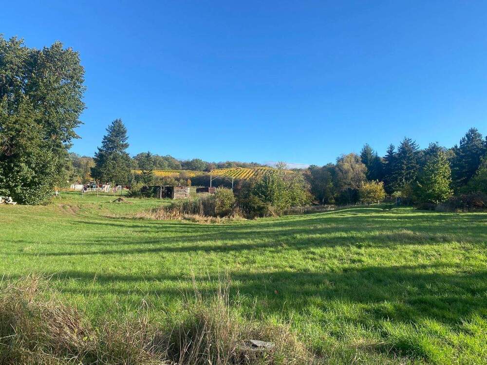 Thumbnail-Ländlich gelegenes Baugrundstück für ein Einfamilienhaus in Niederau