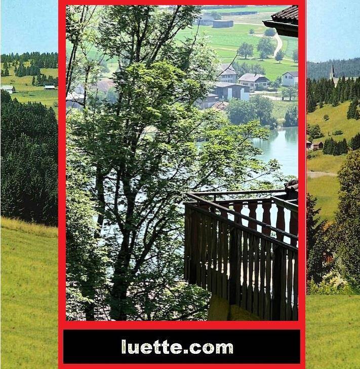 herrlicher Rheinblick