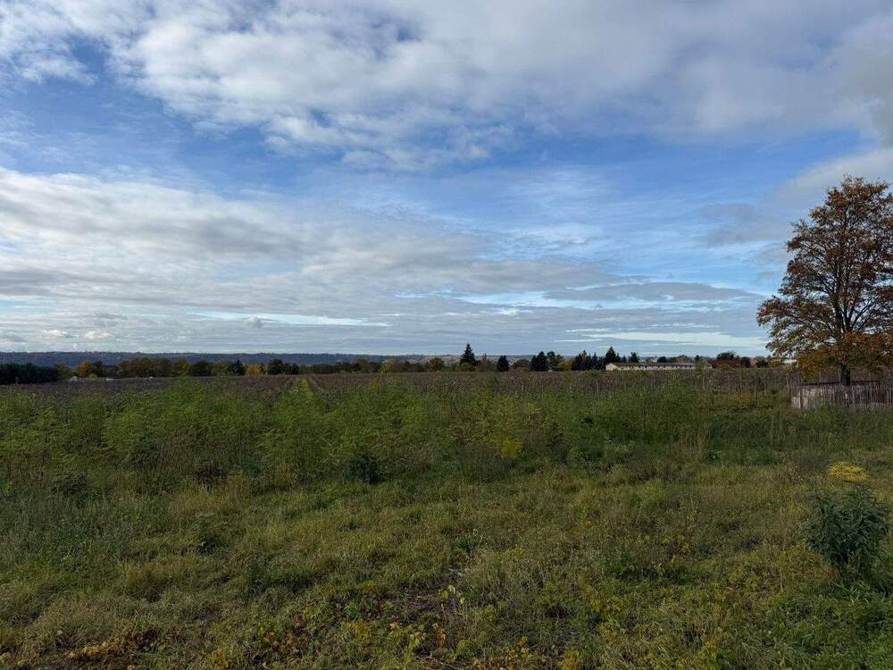 Thumbnail-Bauträgergebundenes Baugrundstück in Weinböhla ++ Ruhige Höhenlage - gemächlich an den Weinbergen