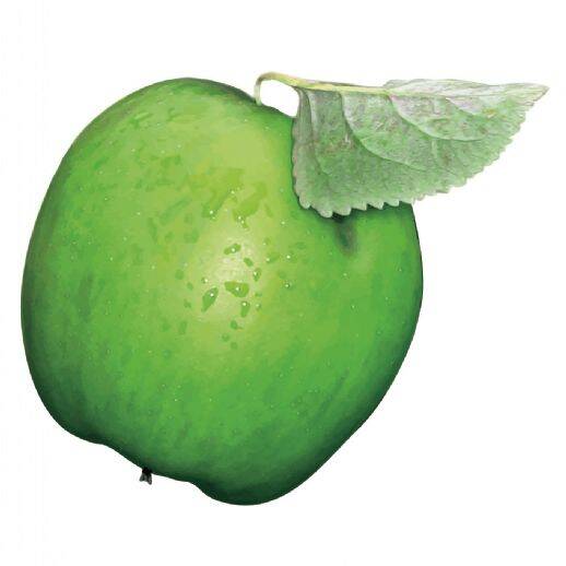 Thumbnail-Schicke neu renovierte 2- Zi Wohnung mit EBK und Stellplatz