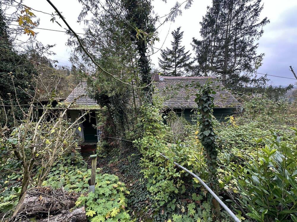 Thumbnail-Seltenes Garten-, Wald- und Freizeitgrundstück in Würzburg Oberdürrbach!