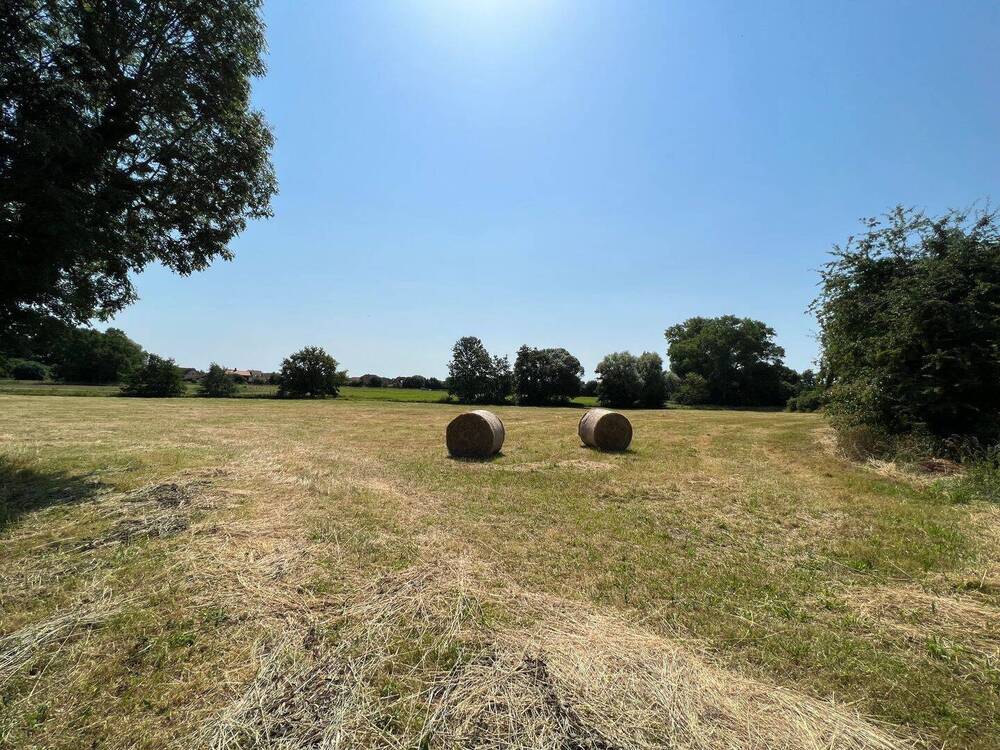 Blick nach Süden