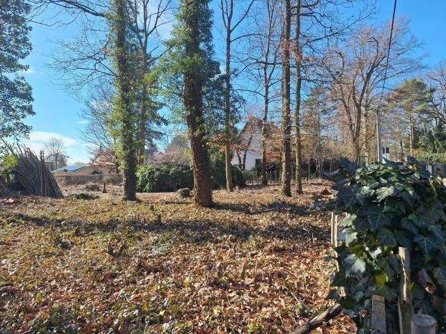 Thumbnail-Natur. Ruhe. Freiheit. Ihr Bauland in Machern.