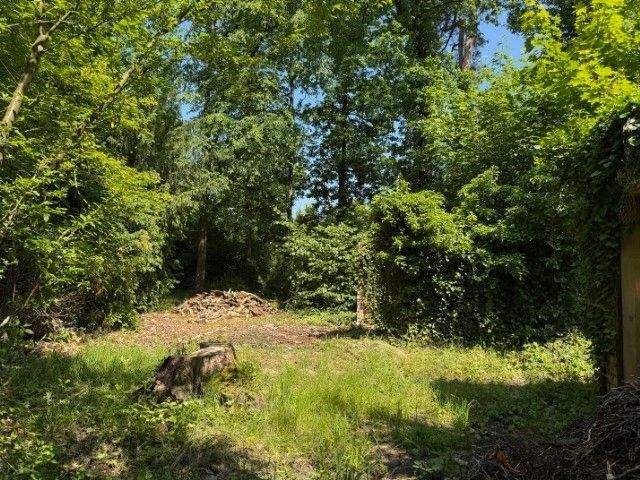 Thumbnail-Waldwinkel Machern: Wo Natur Heimat wird - ein Grundstück wie kein zweites