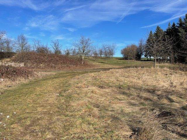 Thumbnail-Baugrundstück Sachsdorf