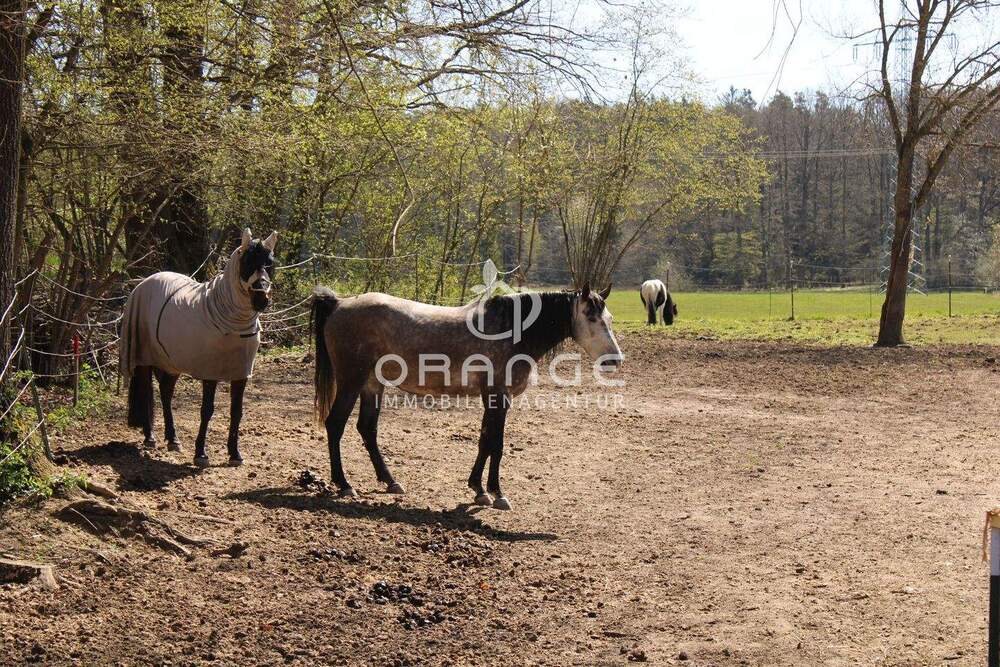 Thumbnail-***Bereit zur Bebauung - alles ist möglich! Einfamilien- oder Wohnhäuser, für Naturliebhaber plus 1.650m² Biotop oder Handwerksbetriebe mit Expansions