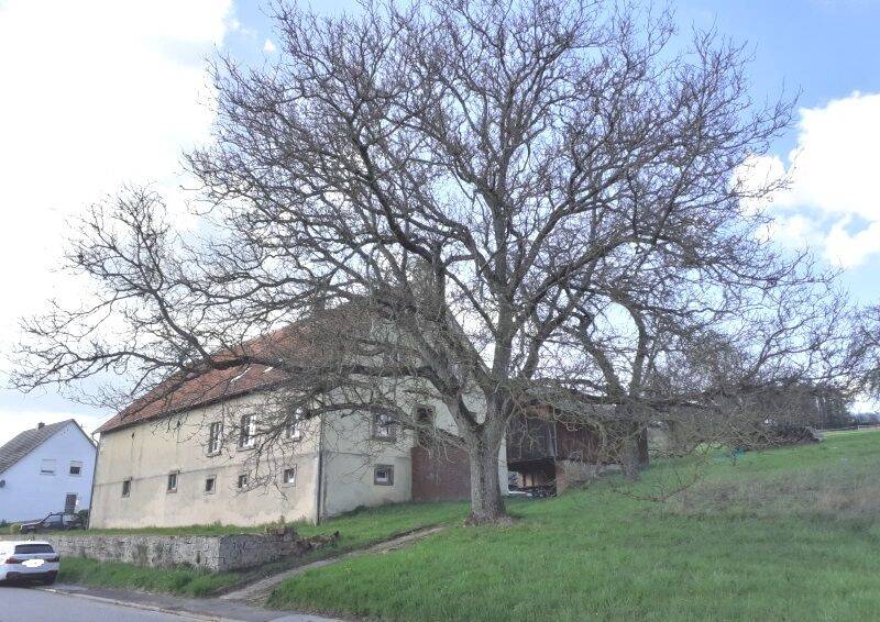 Thumbnail-Ehemaliges Bauernhaus mit Scheunenhaus, reichlich Ausbaupotenzial mit herrlichem Grundstück (Doppelhaushälfte) in Blieskastel-Brenschelbach