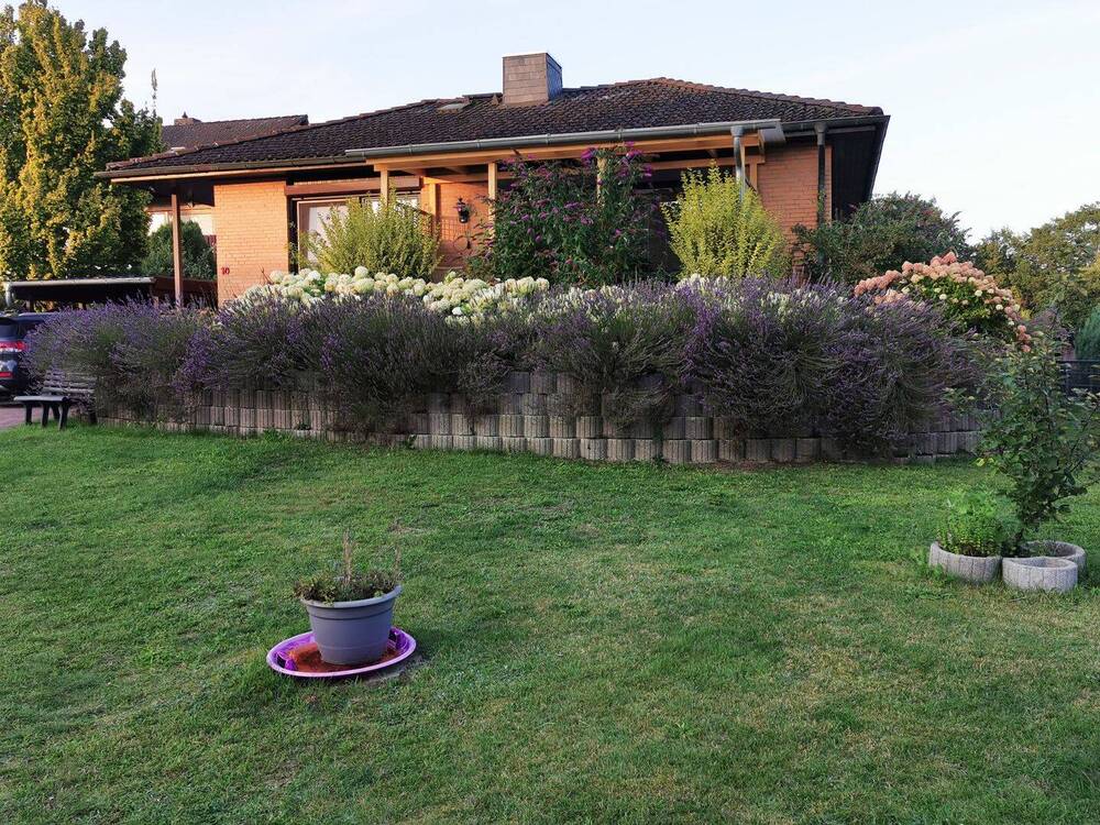 Thumbnail-Ein Familientraum wird wahr!