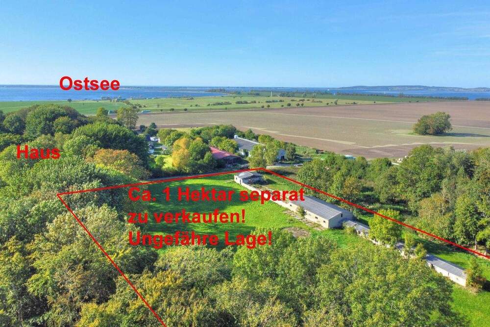 Thumbnail-2 Häuser mit 3 FeWo + optional 1 ha Land - Ideal für Pferdeliebhaber