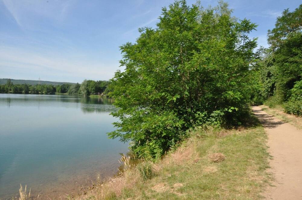 Thumbnail-Direkte Wasserlage… Sanierungsobjekt