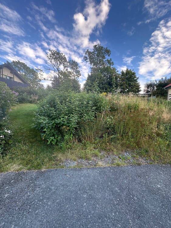 Thumbnail-++ 559 m² Grundstück + Bauland in ruhiger Lage ++