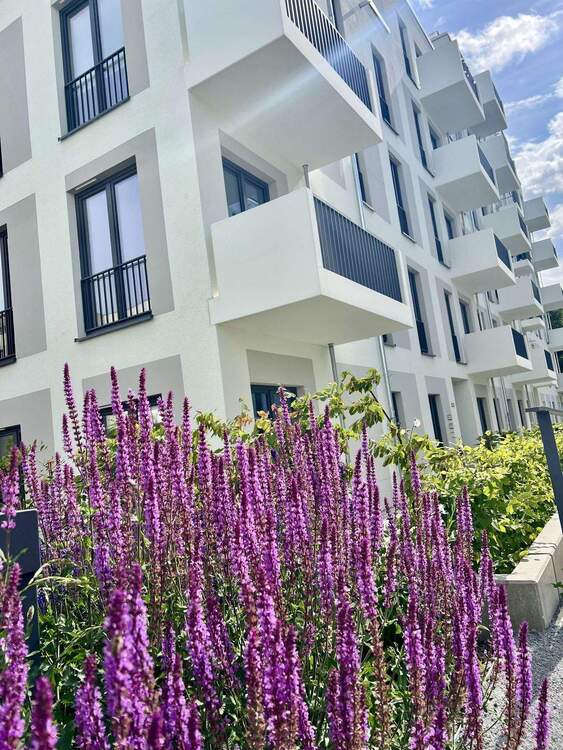 Thumbnail-2 Zimmer mit Balkon - HAVELUFER Quartier