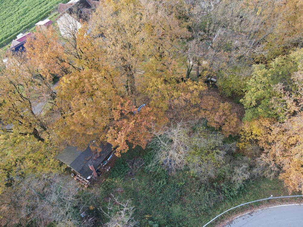 Thumbnail-Ländlich wohnen, urban genießen - Großzügiges Grundstück für Ihr KfW 40-Haus in grüner Lage