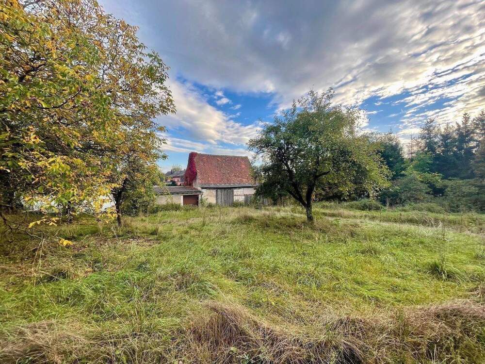 Thumbnail-Traum vom EFH im Grünen? Charmante 555 qm Grund - ruhig und gut angebunden im Bamberger Umland