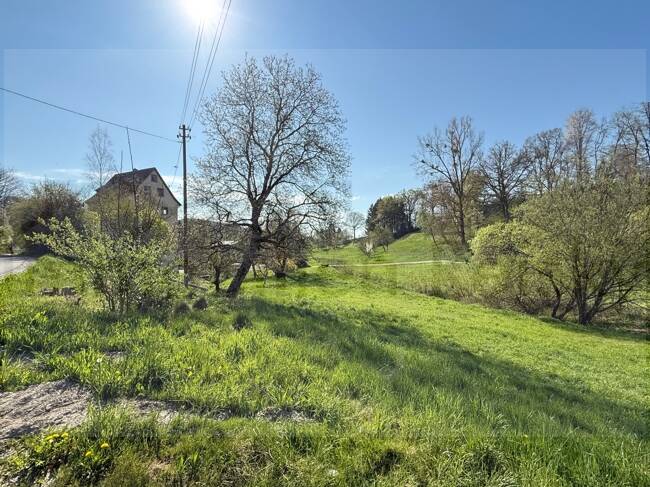 Thumbnail-Ehemaliges Mühlenanwesen mit mächtig viel Platz