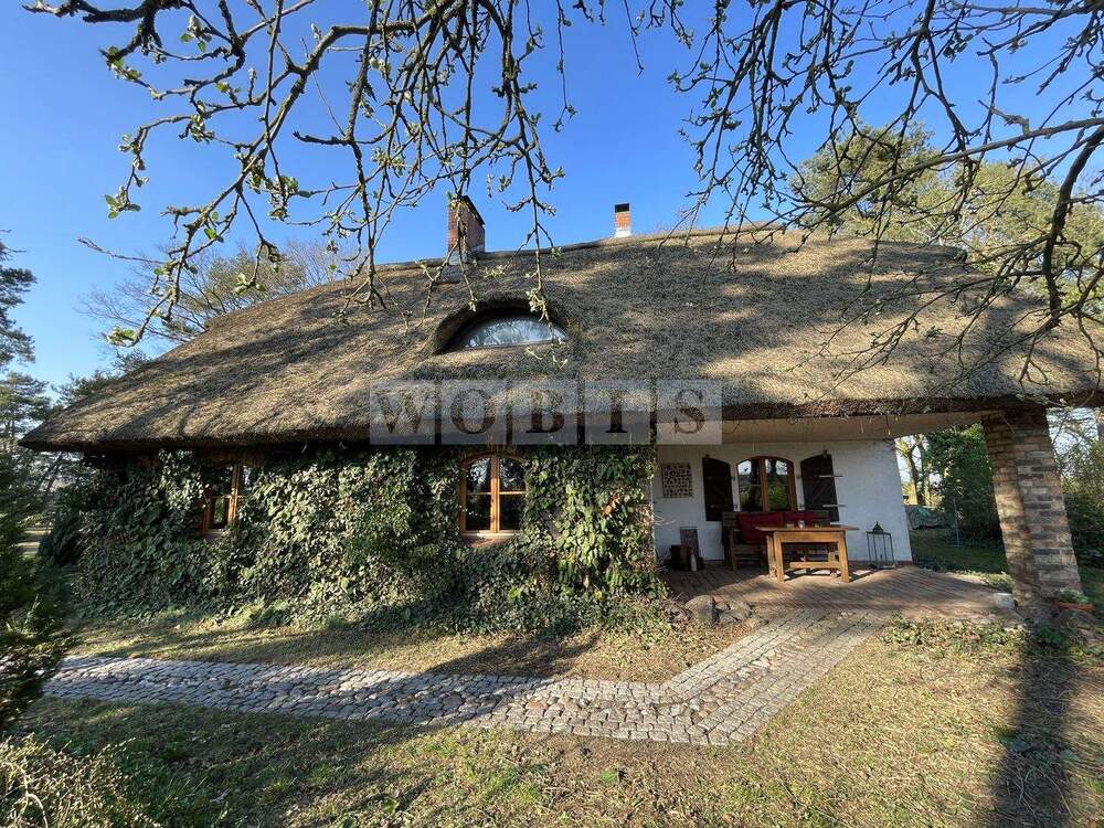 Thumbnail-Reetdach-Idyll am Oderhaff - Ruhe und Natur pur - PROVISIONSFREI