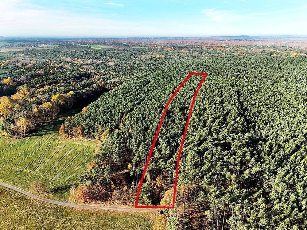 Thumbnail-Waldflächen mit ca. 15.615 m² Gesamtfläche