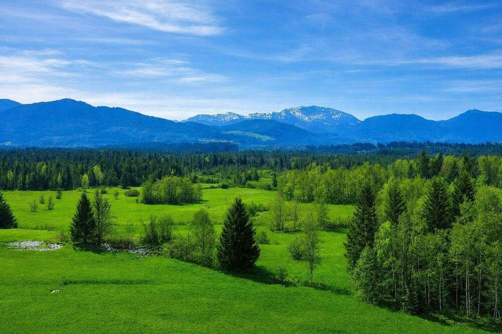 Thumbnail-Naturnah leben und wohnen in Obermaxkron