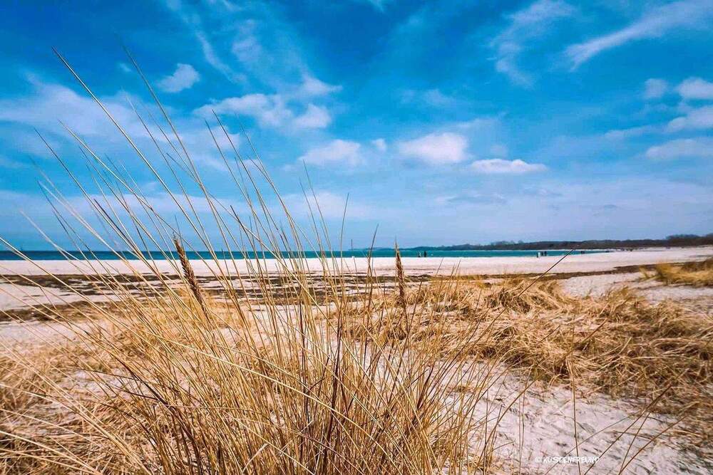 Thumbnail-Einzigartiges Anwesen mit eigenem B-Plan