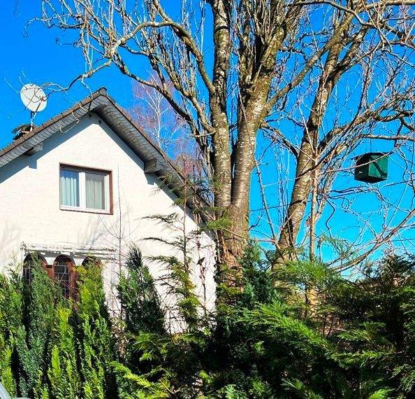 Thumbnail-Ein- bis Zweifamilienhaus mit 