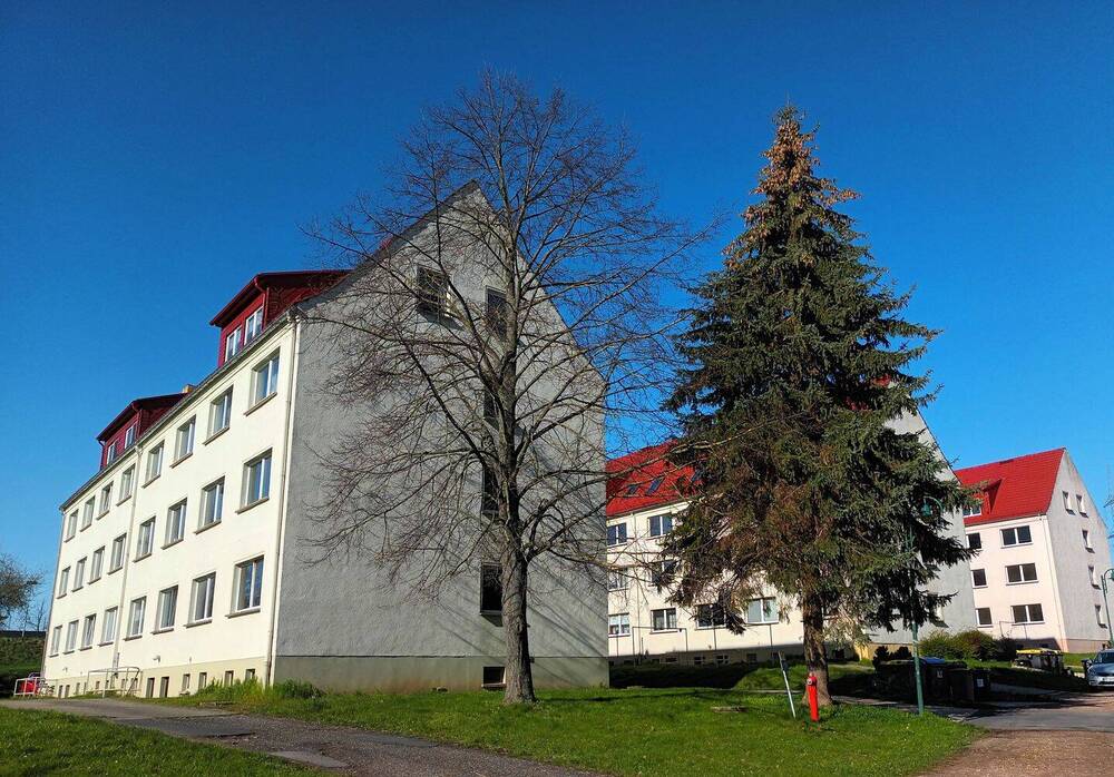 Thumbnail-4-Zimmer-Wohnung, frisch saniert mit Potenzial