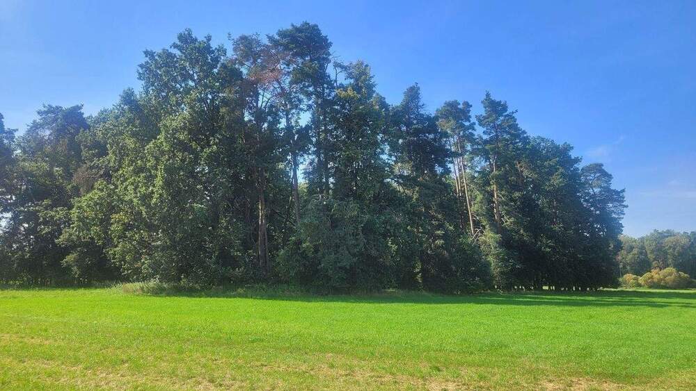 Thumbnail-Bauerwartungsland