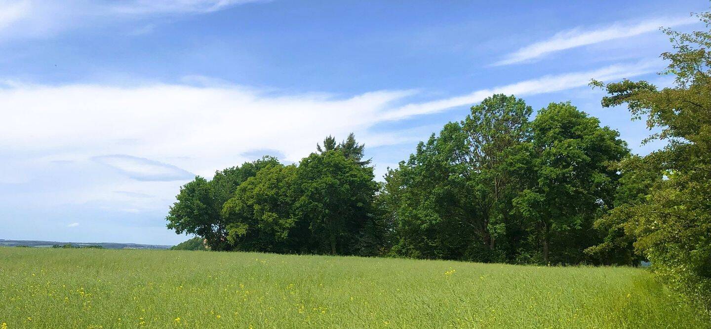 Thumbnail-Bebautes Gartengrundstück mit Blick zur Burg Schönfels in völliger Alleinlage.
