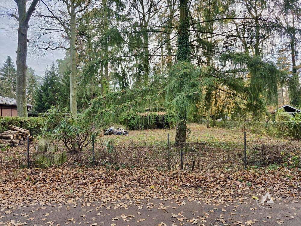 Thumbnail-Freies Grundstück in der Nähe von Berlin sucht Traumhaus