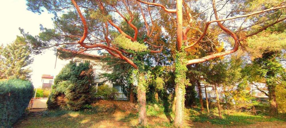 Thumbnail-TOP LAGE IM BESTANDSWOHNGEBIET TRAUMHAFTEN GARTEN MIT SÜDAUSRICHTUNG IN SCHESSLITZ