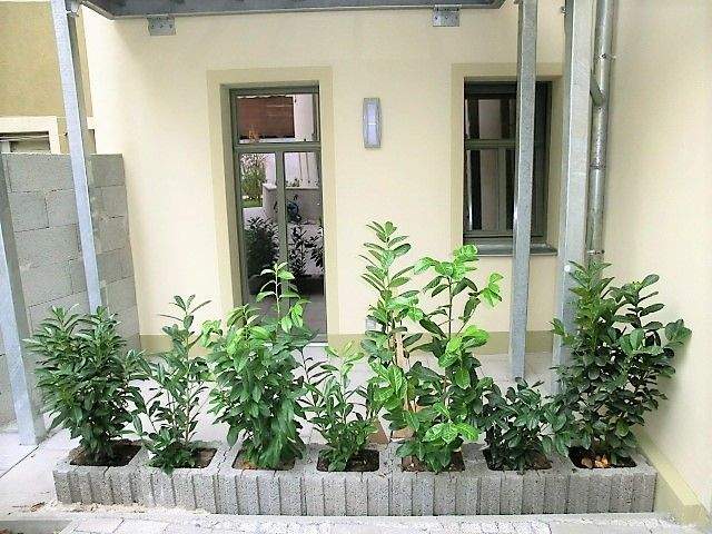 Thumbnail-Erdgeschoss - 2 Zimmerwohnung in der Bischofwerdaer Innenstadt mit Terrasse