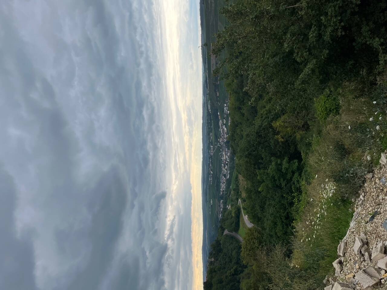 Thumbnail-Erste Baureihe mit Blick über die Mosel
