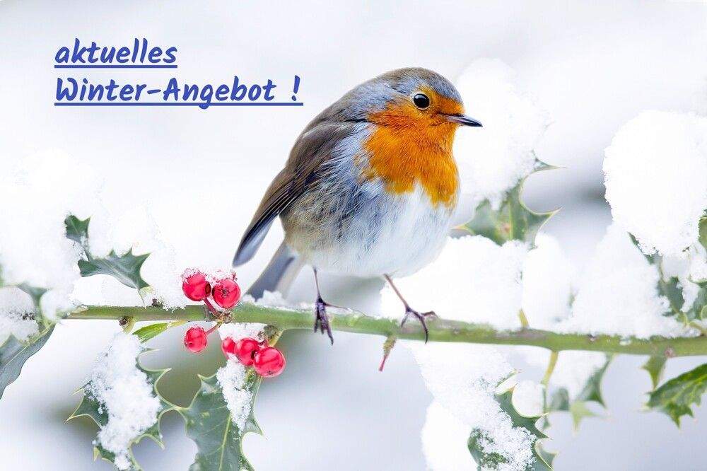 Thumbnail-*** reizendes 2-Familienhaus mit Einliegerwohnung und traumhaftem Garten ... ! ***