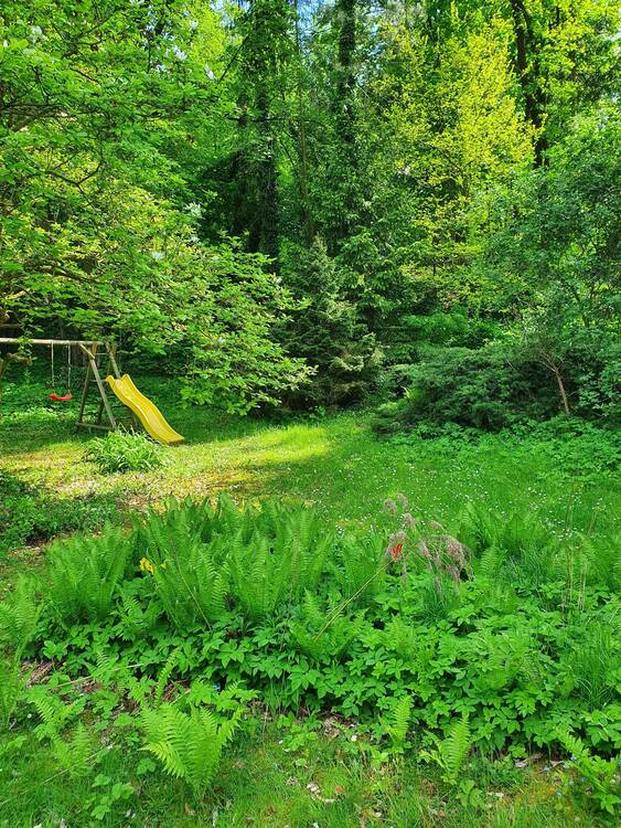 Thumbnail-NEU! Traumgrundstück in Heiligensee