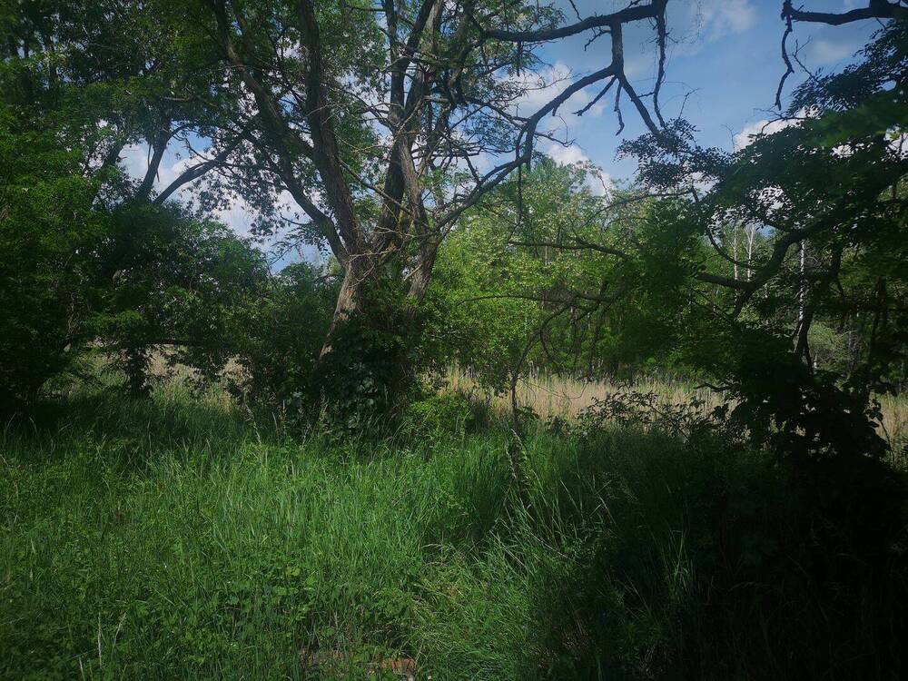 Thumbnail-SHAREDEAL - ca. 4,5 ha großes Grundstück mit Bestandsgebäuden