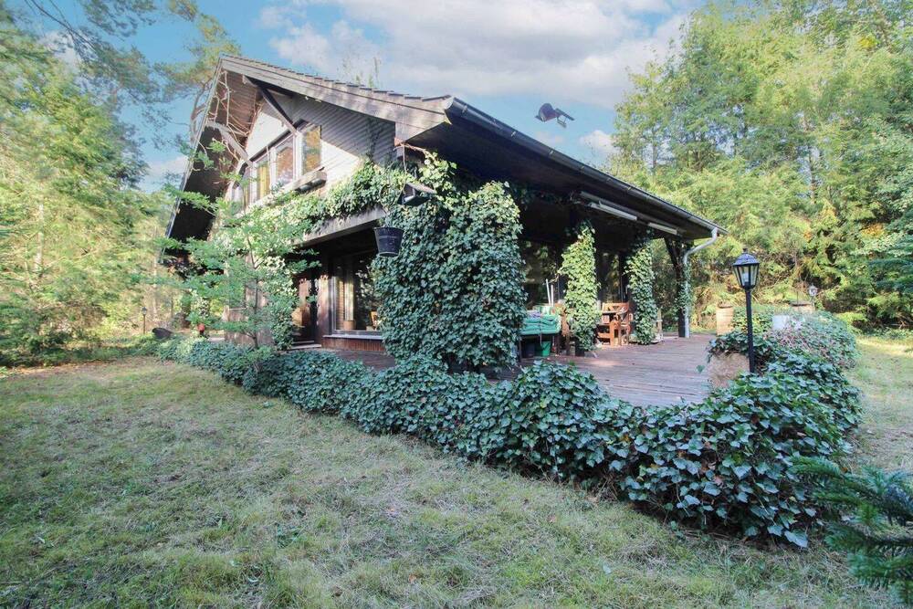 Thumbnail-Eigennutzung oder Ferienhaus - Waldidylle mit Rehbesuch - Erholung pur