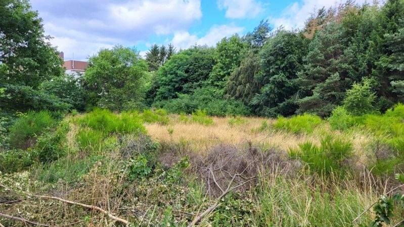 Thumbnail-Ideal für Bauträger! Großes Baugrundstück in HomburgSaar.