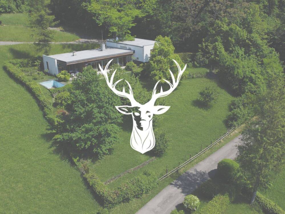 Thumbnail-Freistehendes Einfamilienhaus im Bauhausstil in Bestlage von Waldshut zu verkaufen