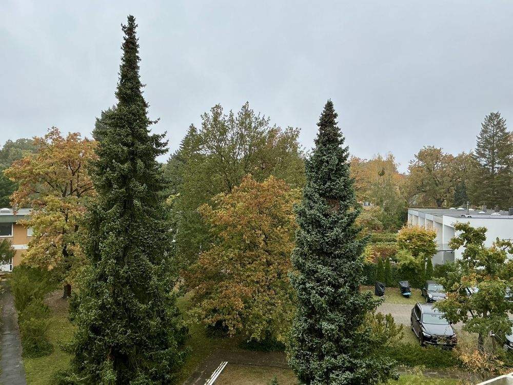 Thumbnail-2-Zimmerwohnung in Berlins begehrtester Wannseelage