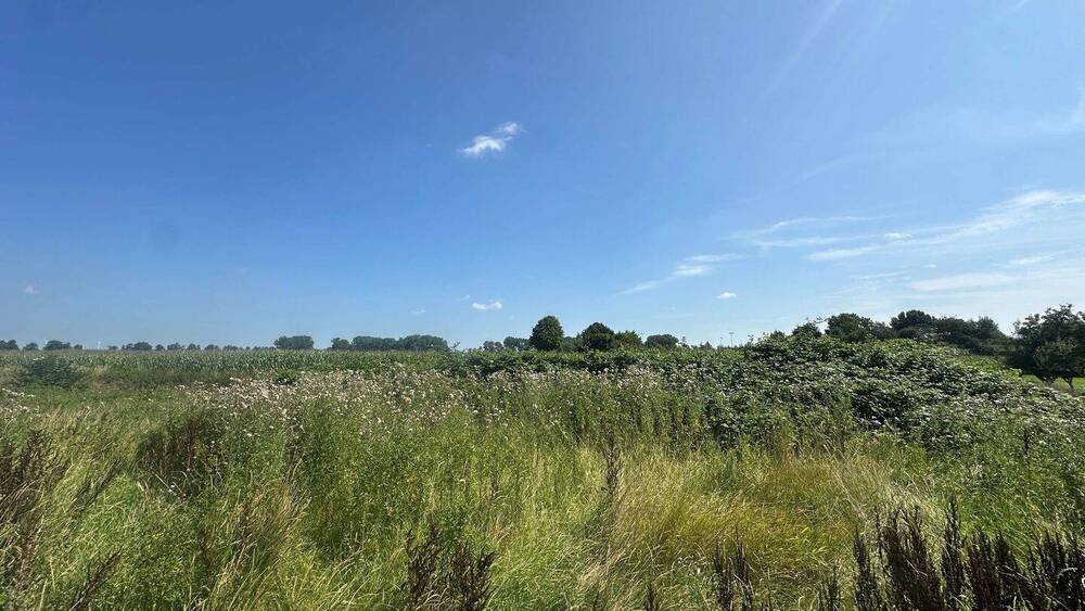 Thumbnail-Attraktives Baugrundstück (796 m²) in Seestermühe - Wohnen im Dorf